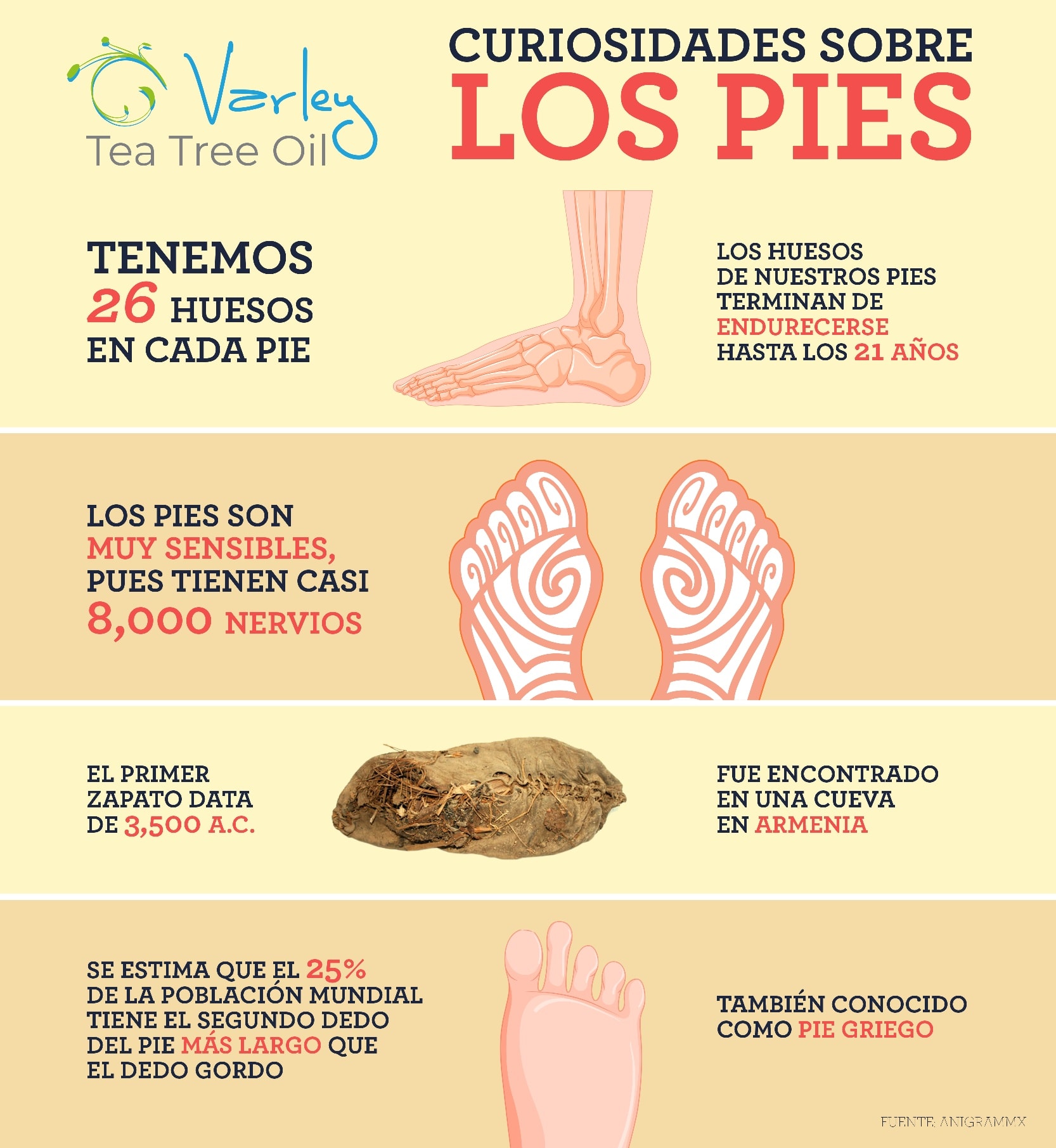 Varley Tea Tree Oil | Mexico City