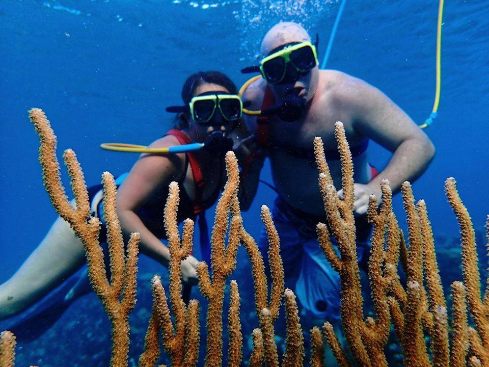 Sea Trek and Snuba Cayman | George Town