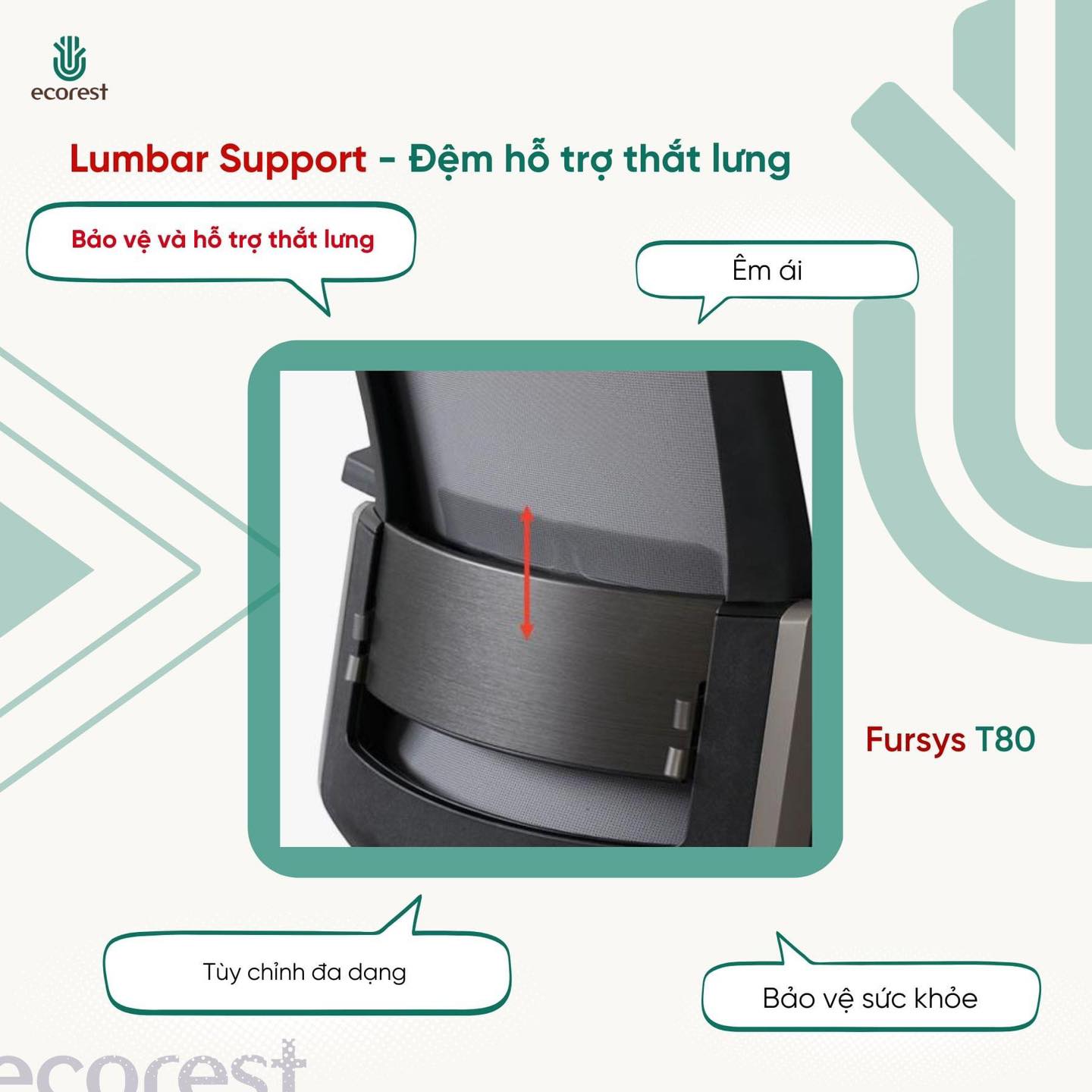[𝐋𝐔𝐌𝐁𝐀𝐑 𝐒𝐔𝐏𝐏𝐎𝐑𝐓 𝐋𝐀̀ 𝐆𝐈̀?] 🤔... - Ecorest - Office Furniture | Facebook