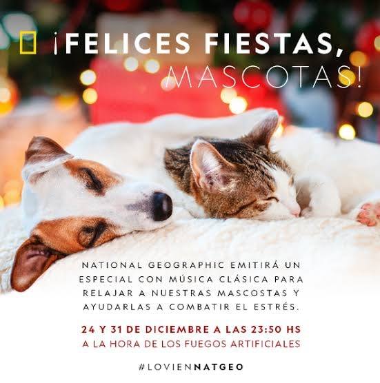 Lugar felih - Las celebraciones de las fiestas con fuegos...