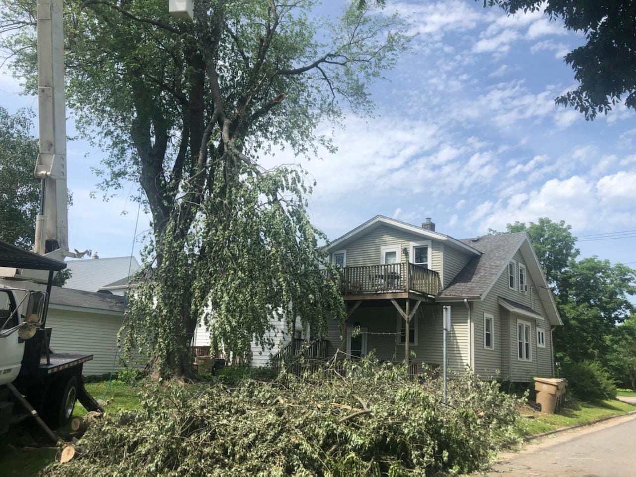 Madden's Tree Service