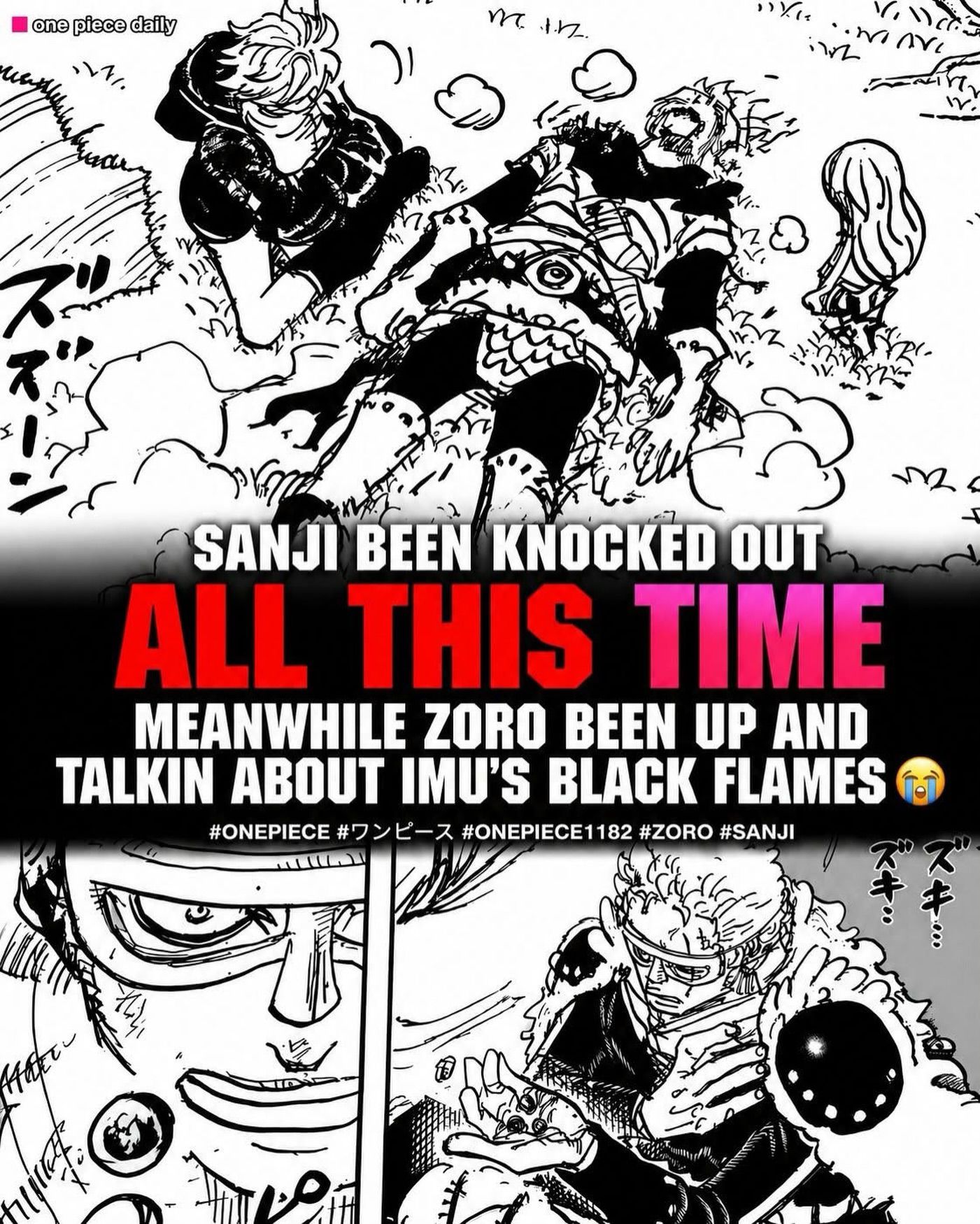 Ok. Now we will see another fight between Zoro's and Sanji's fans