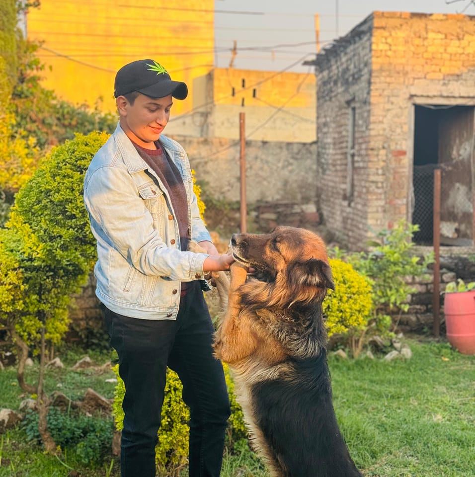 Nabeela Qamar Nabeela