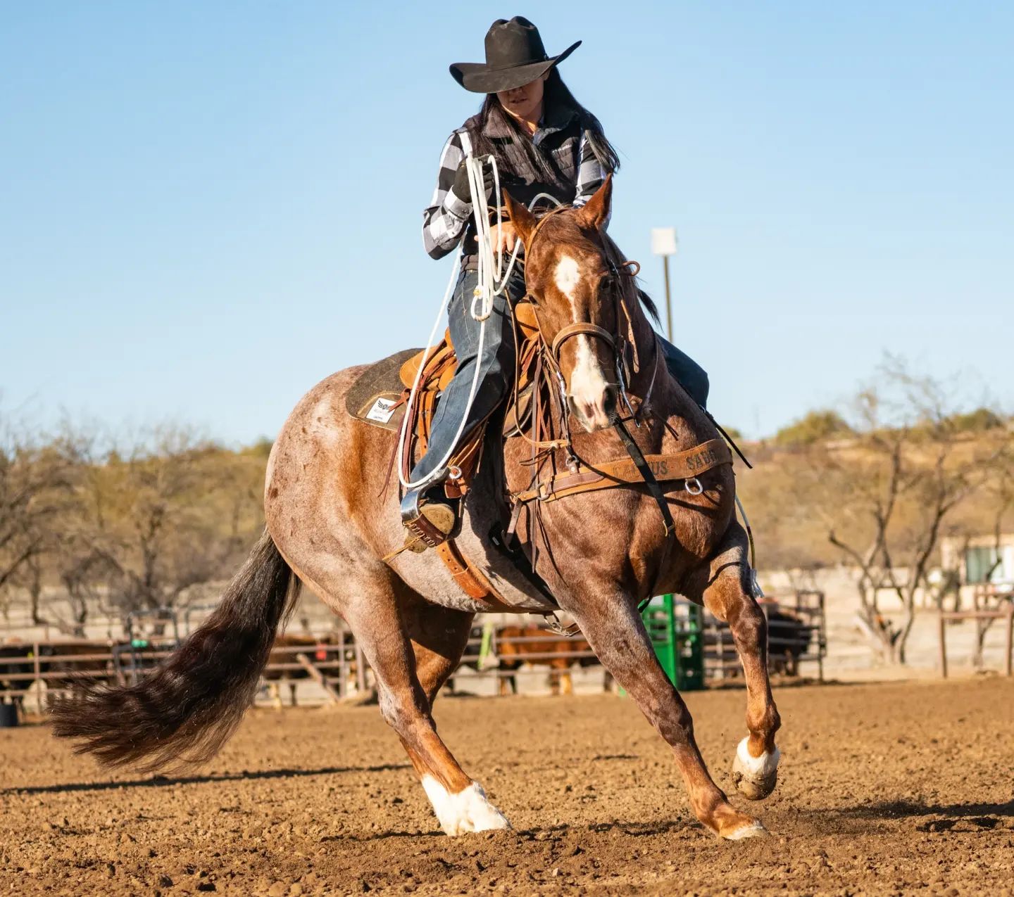 Rancho Rio - Hello! 👋 We are Brooke & Rodey Wilson, AKA... | Facebook