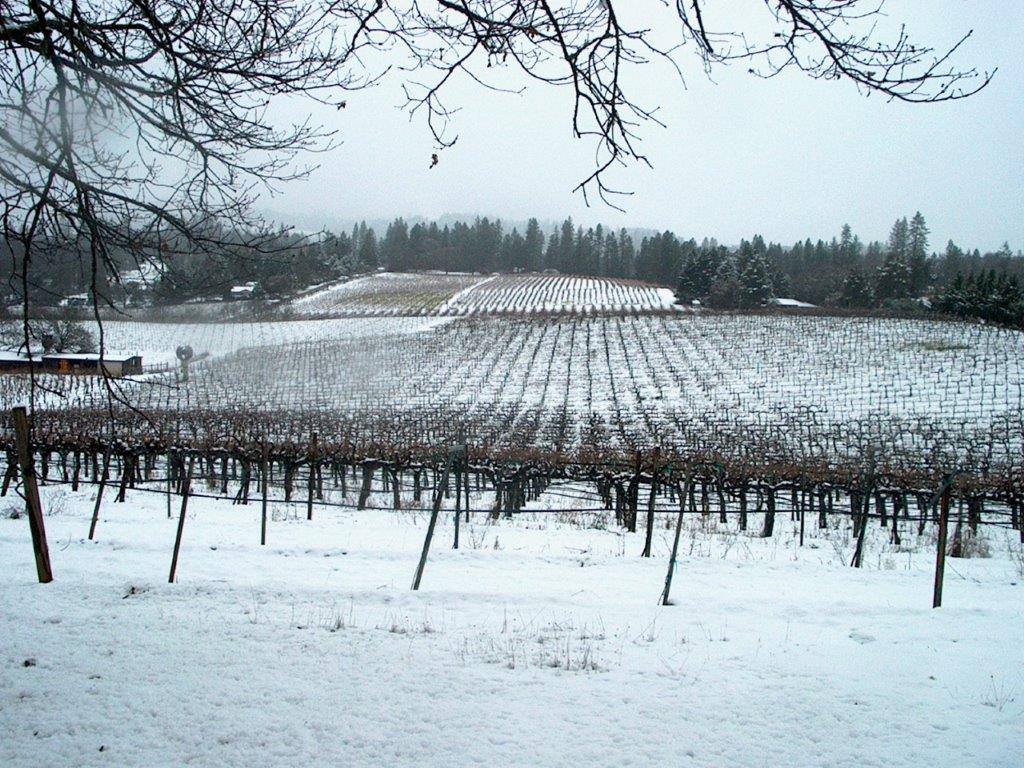 Howell Mountain Vineyards | Angwin CA