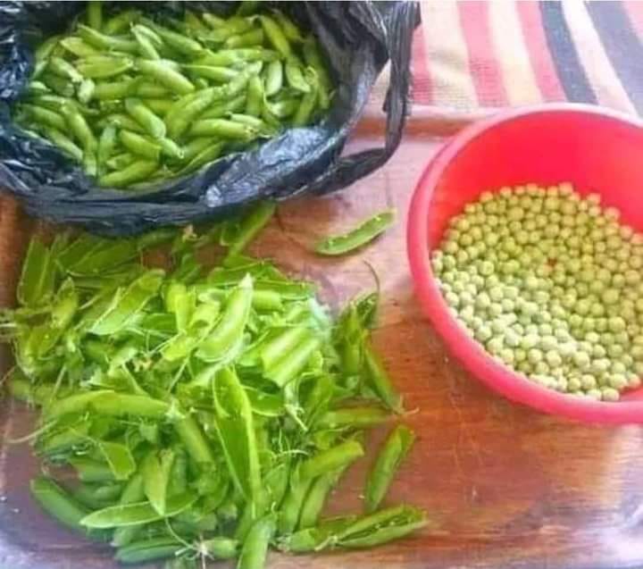 100% صفاقسية - ملا عطلة و ملا جو و ملا تفرهيد... | Facebook