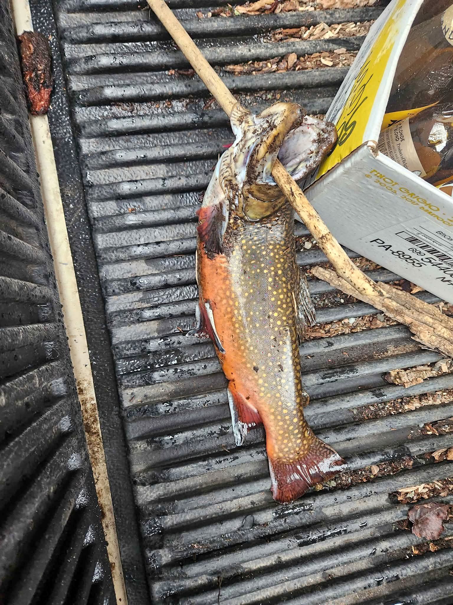 Weekend Fishing Sale Sept 26 & 27 All day... 1000 lures. Rods. Boxes ...