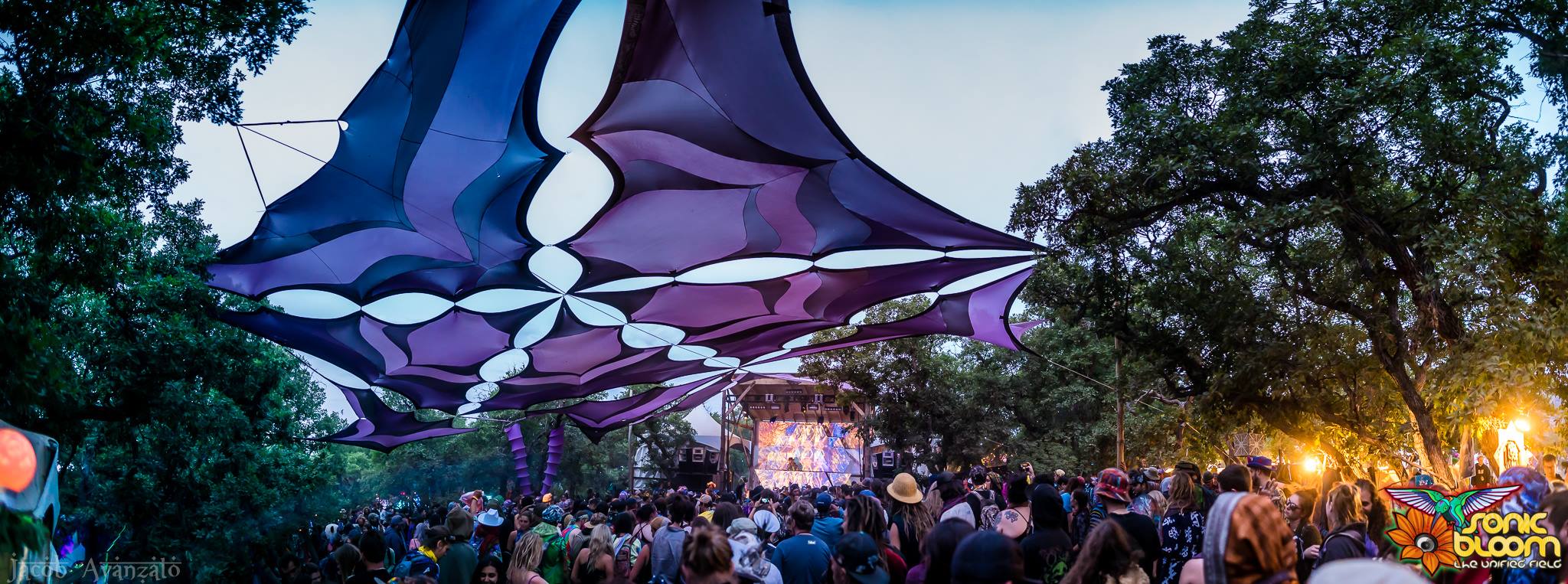Our permanent Hummingbird Stage... - Hummingbird Ranch