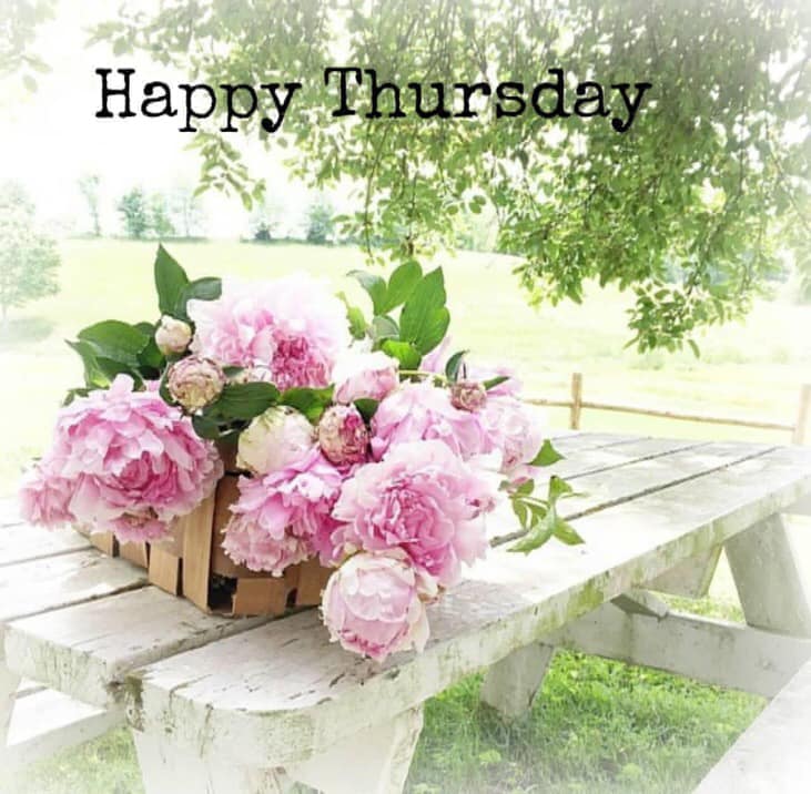 Happy Thursday! photo credit: Heart... - The Rustic Rabbit