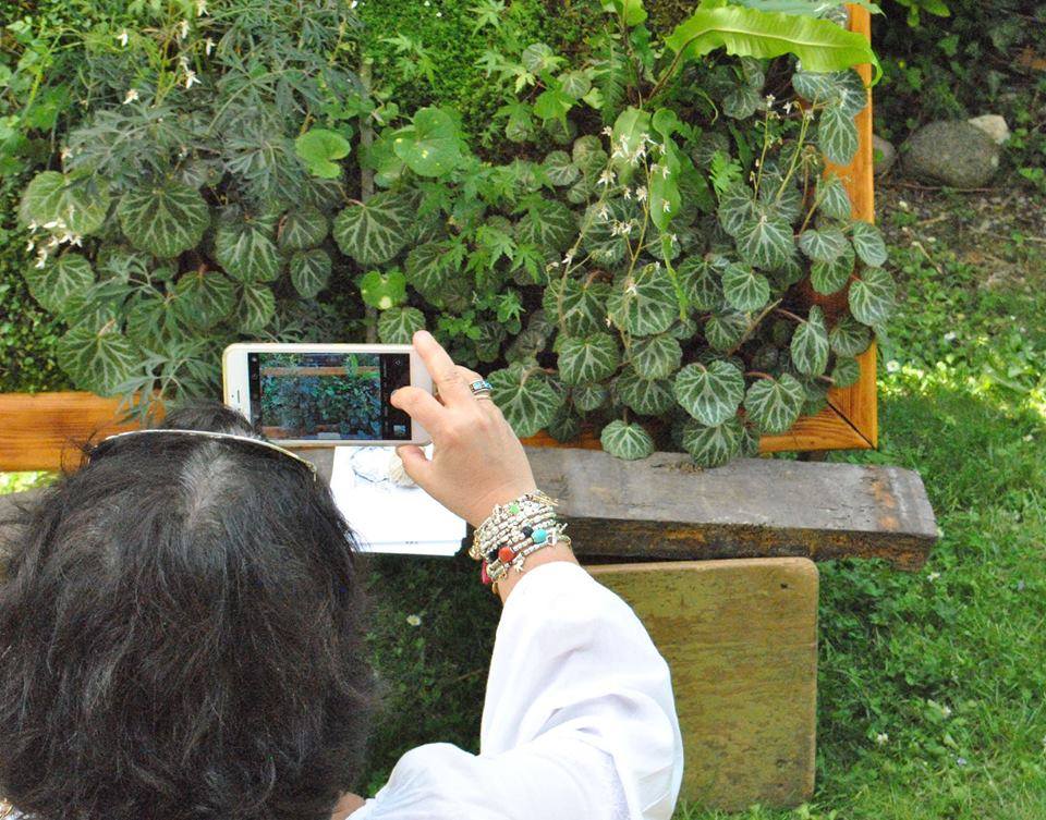 Life Panel - Quadri vegetali #LifePanel - Opere vive...