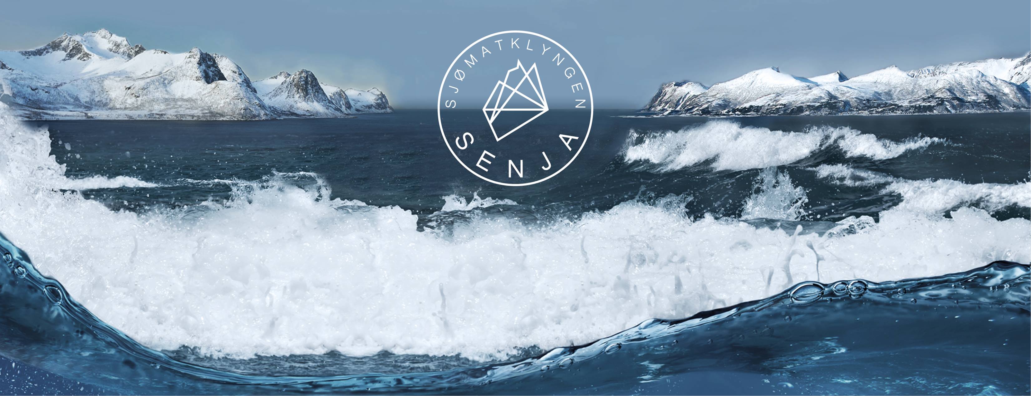Sjømatklyngen Senja