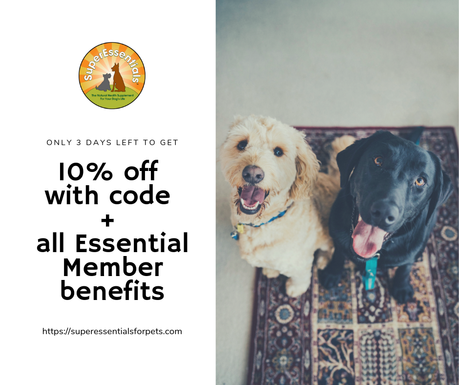 SuperEssentials for Pets