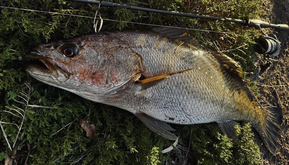 WA Redfin Fishers | Facebook