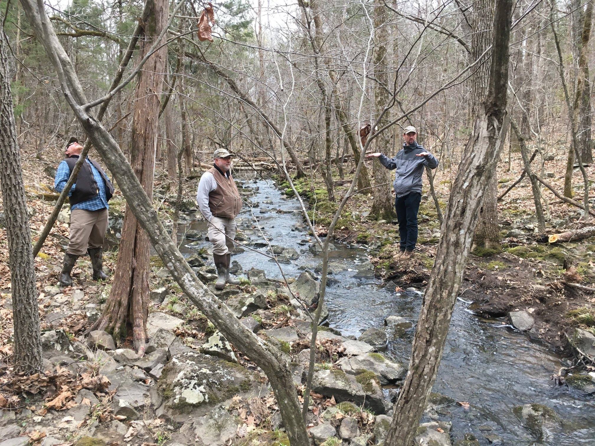 WSSI's Mike Rolband... - Wetland Studies and Solutions, Inc.