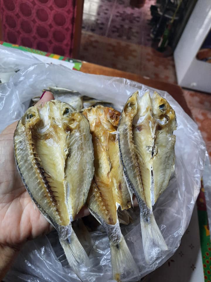 Bulad Cebu | Polomolok