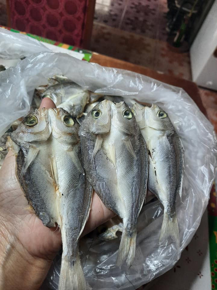 Bulad Cebu | Polomolok