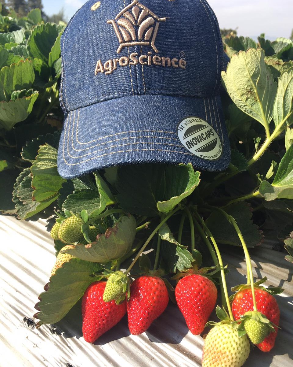 AgroScience - La nutrición es el único factor que nos... | Facebook