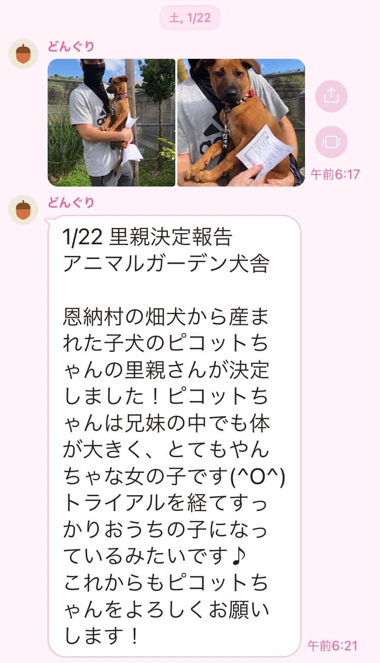 ケルビム 犬猫保護施設アニマルガーデン Cherubims Animal Garden Shelter Posts Facebook