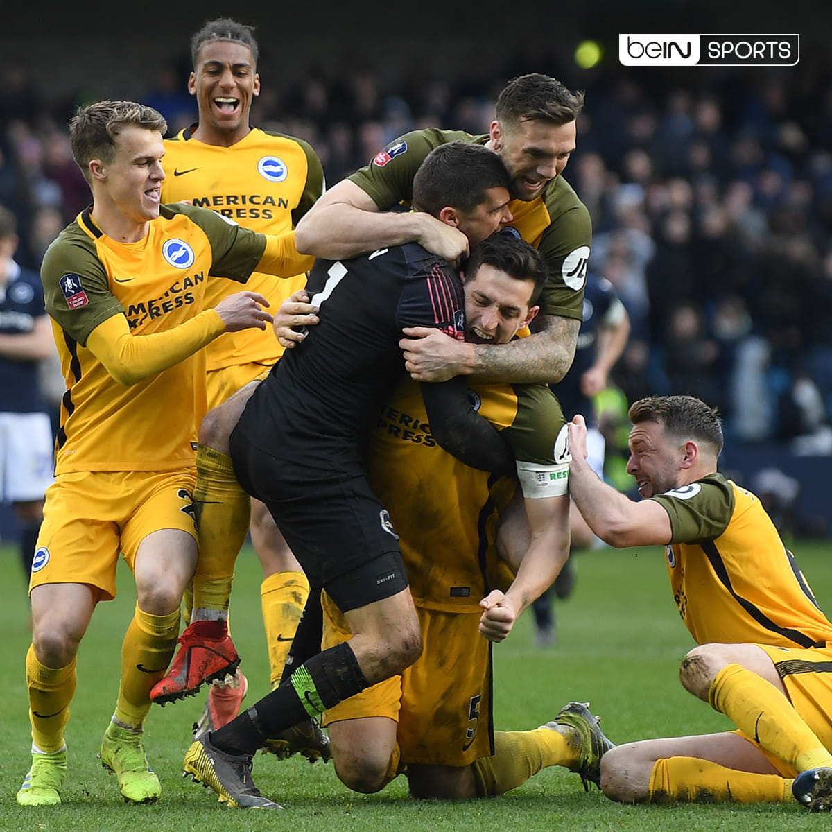 Bein Sports Indonesia Live Dini Hari Ini Epl Brighton Vs Cardiff 01 35 Bein Sports 1 Beinpl Facebook