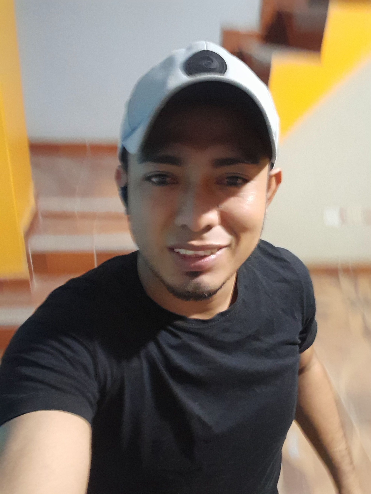 Alij V Gonzales