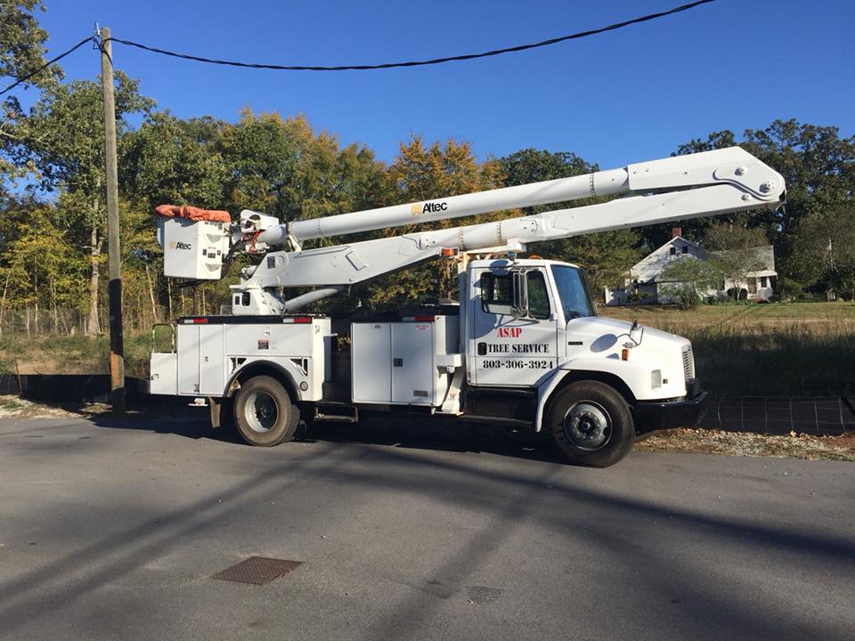 ASAP Tree Service | Chapin SC