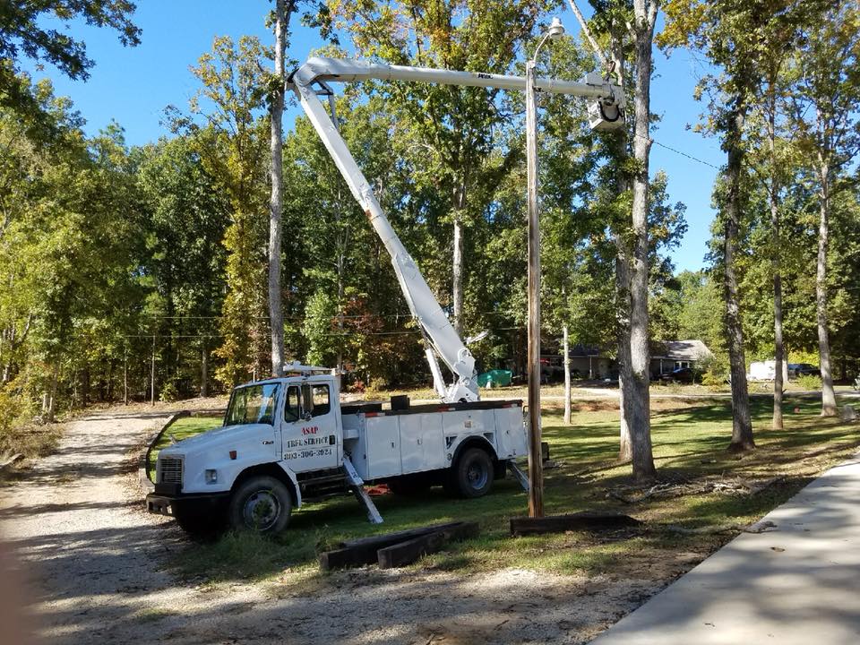 ASAP Tree Service | Chapin SC