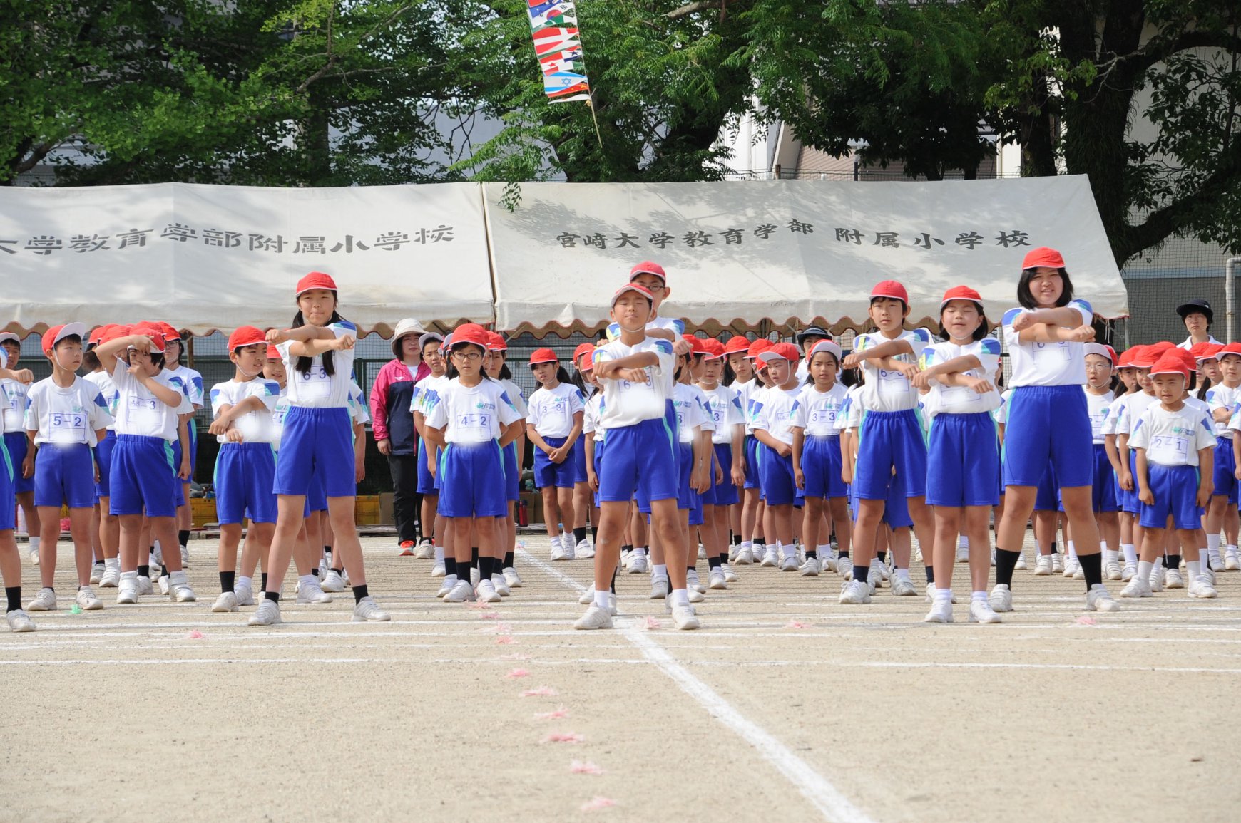宮崎 大学 教育 学部 附属 小学校