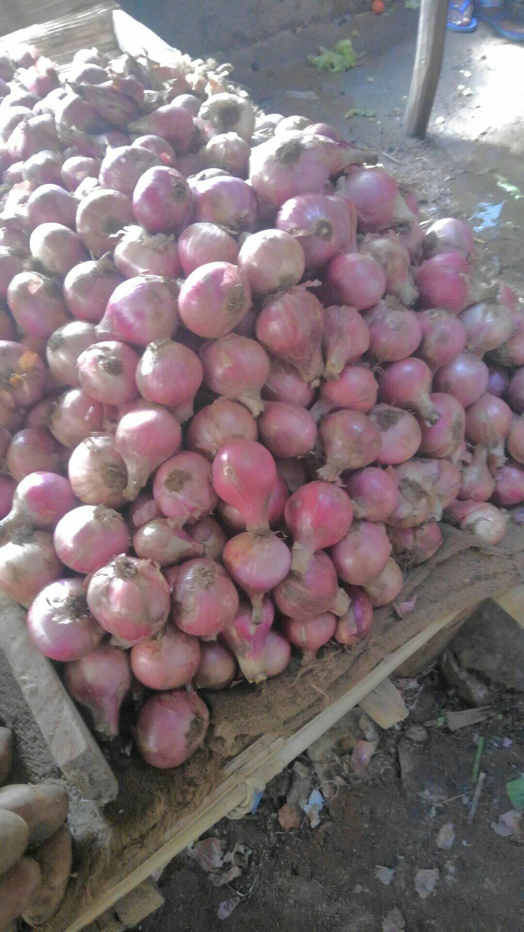 Bolada de cebolas e batatas | Facebook