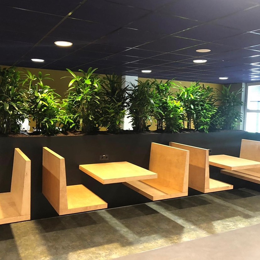 Europe Design Project