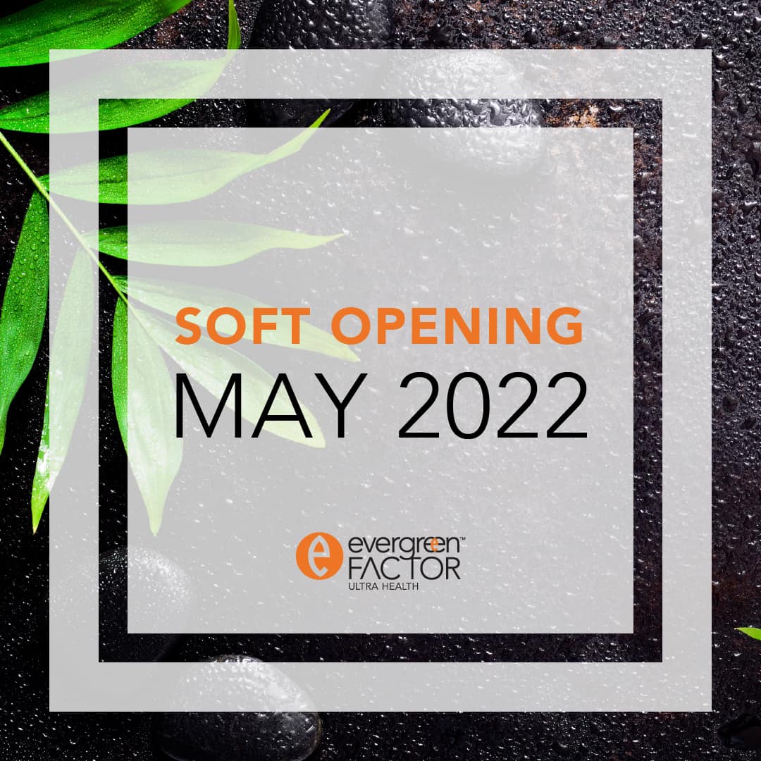 🌲 The wait is finally over! We're... - Dr Pascal Nguyen | Facebook