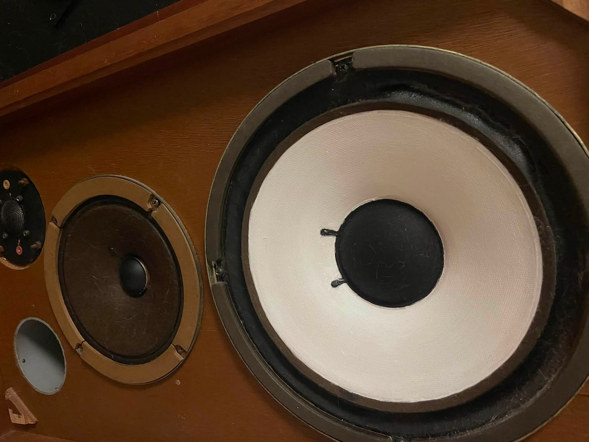 コーラルX Ⅲ聴き込みしました。
