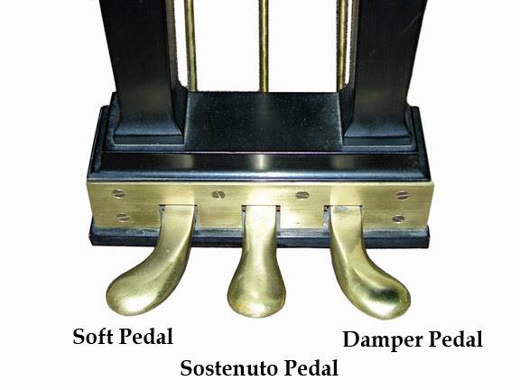der beste rennrad sattel Arione R5 - Stromlinienförmiger & langlebiger Rennrad-Sattel Tooth Count:35 f550 pedal pusher closed sale