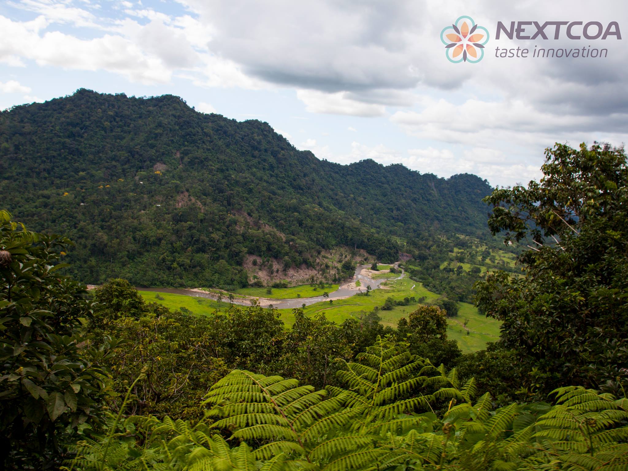 Nextcoa | Bucaramanga