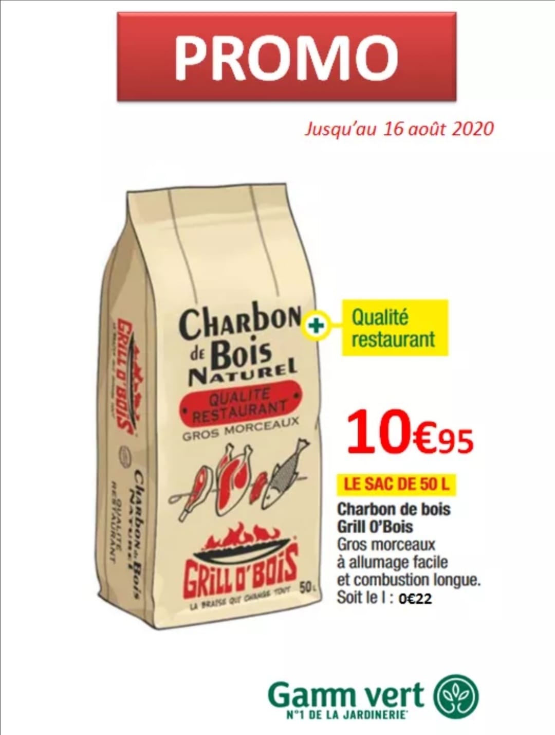 Charbon De Bois Grill O bois 50 L Gamm Vert