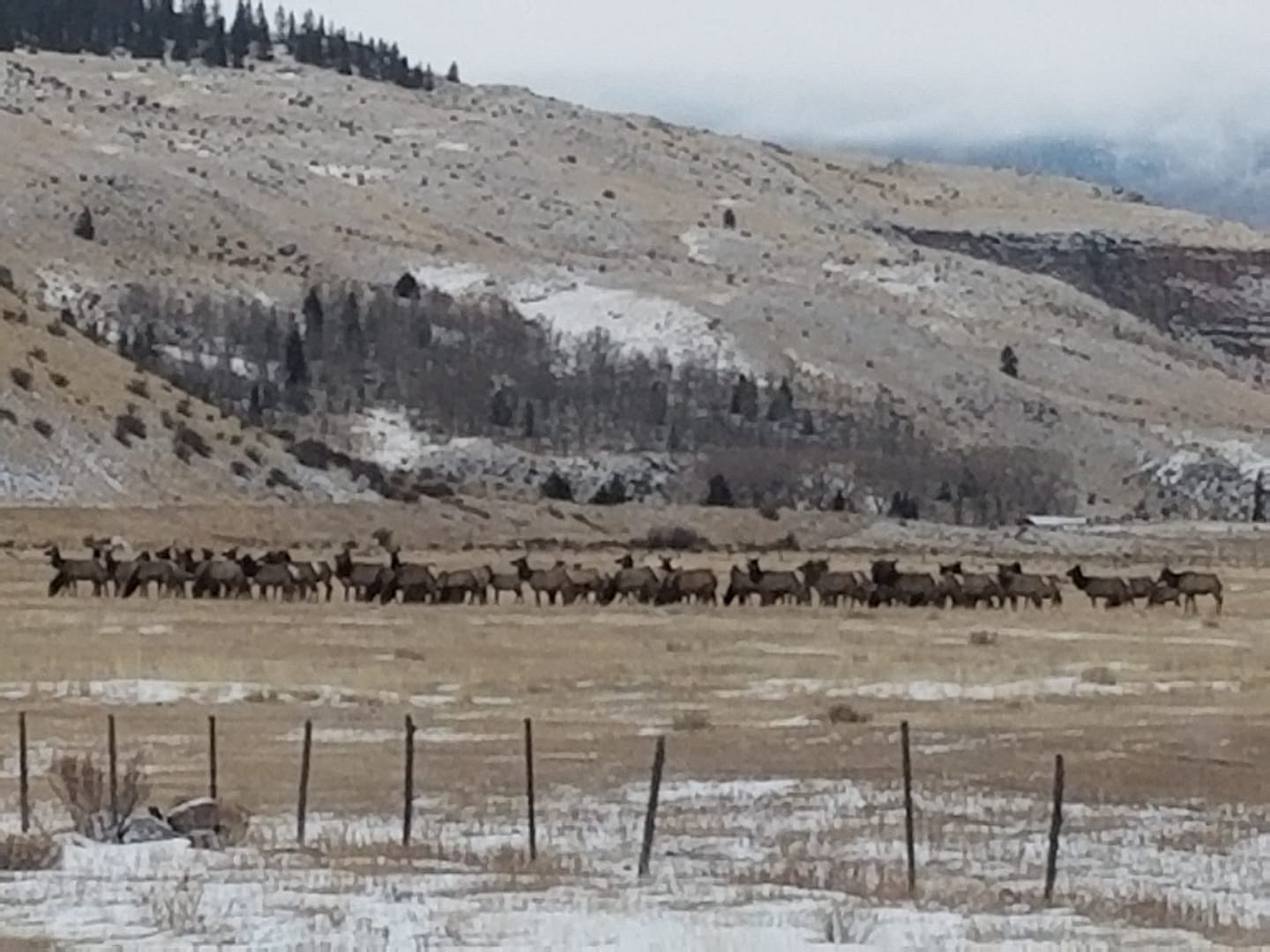 RC Guest Ranch | Creede CO