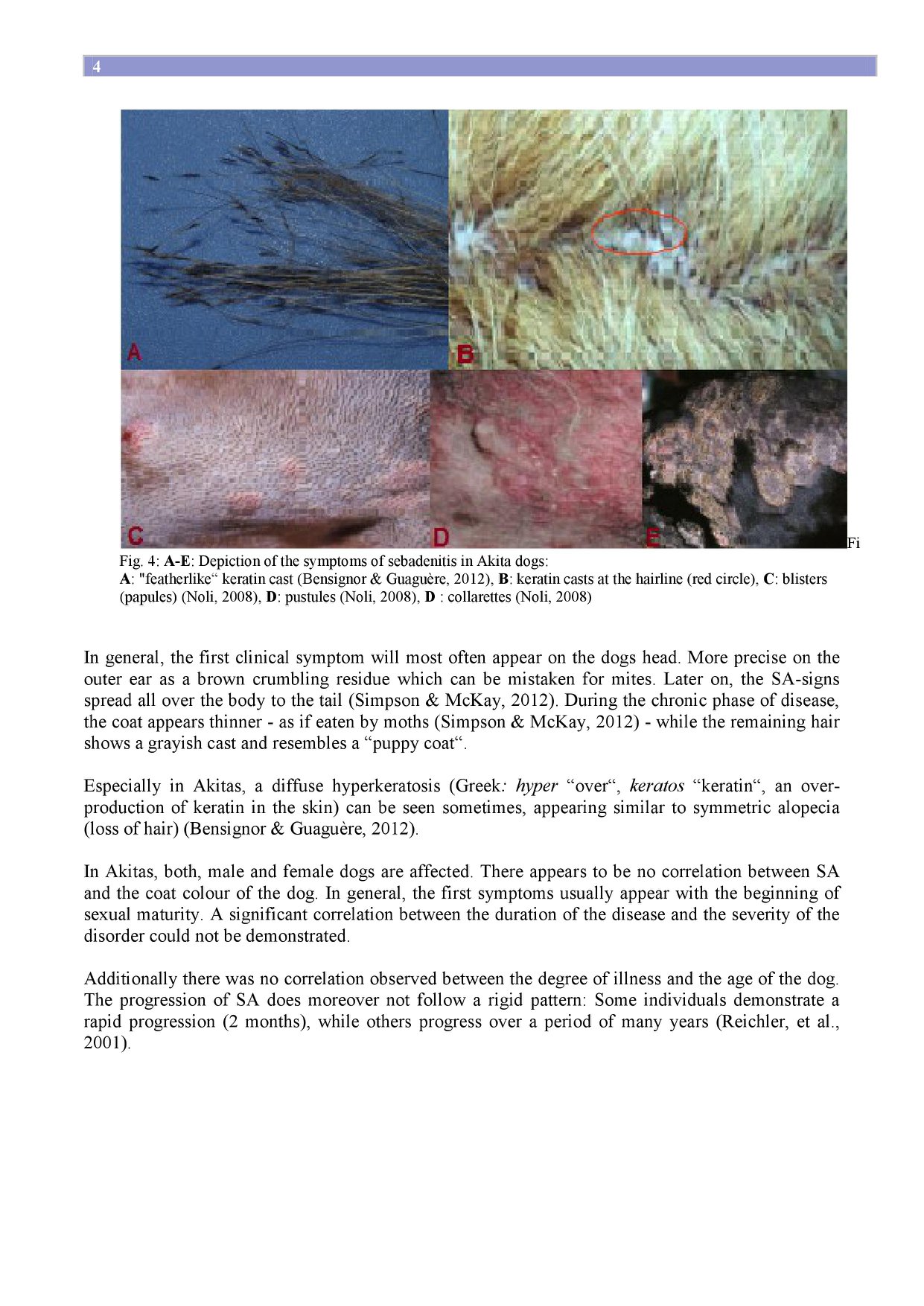 Sebaceous Adenitis... - Akita Polska - Sebadenitis SA i VKH | Facebook