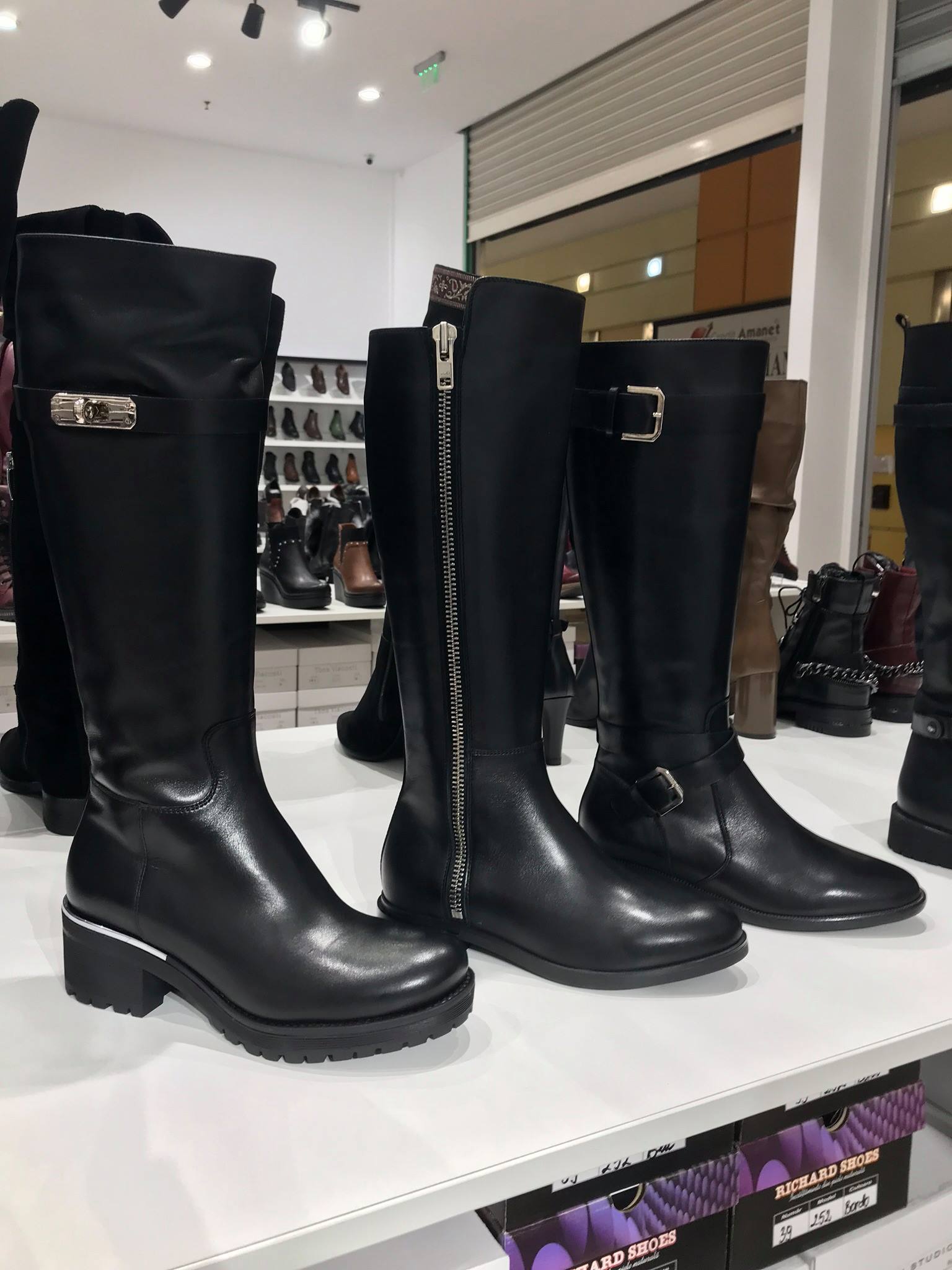 Richard Shoes | Bucharest