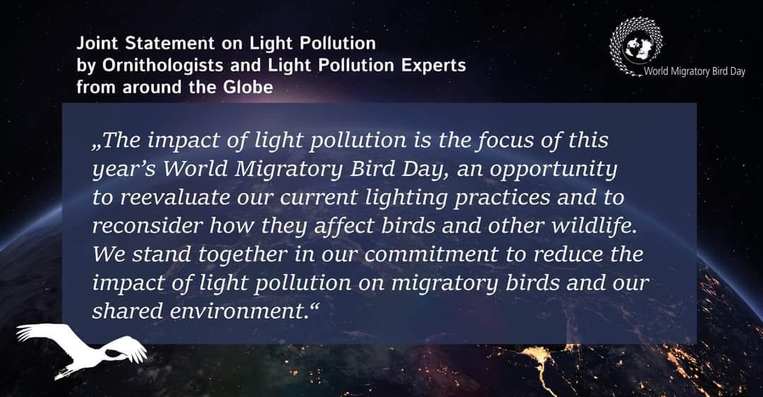 The Return of the Neophron - 🌎 World Migratory Bird Day is being ...