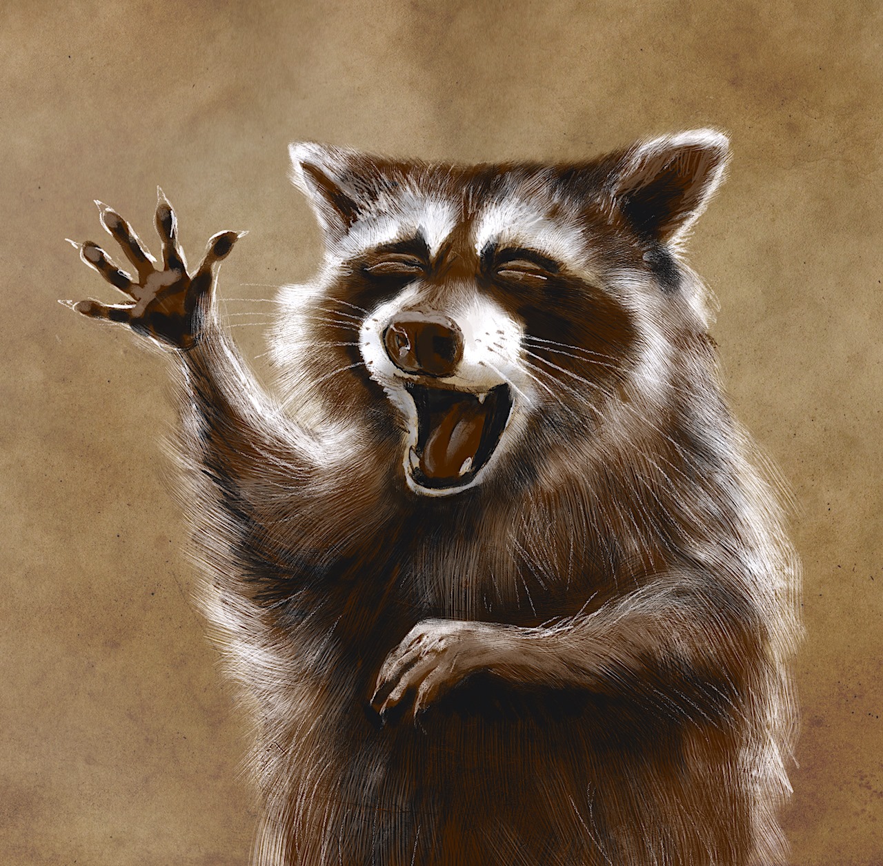 Jeremy Norton - Laughing Racoon #illustration...