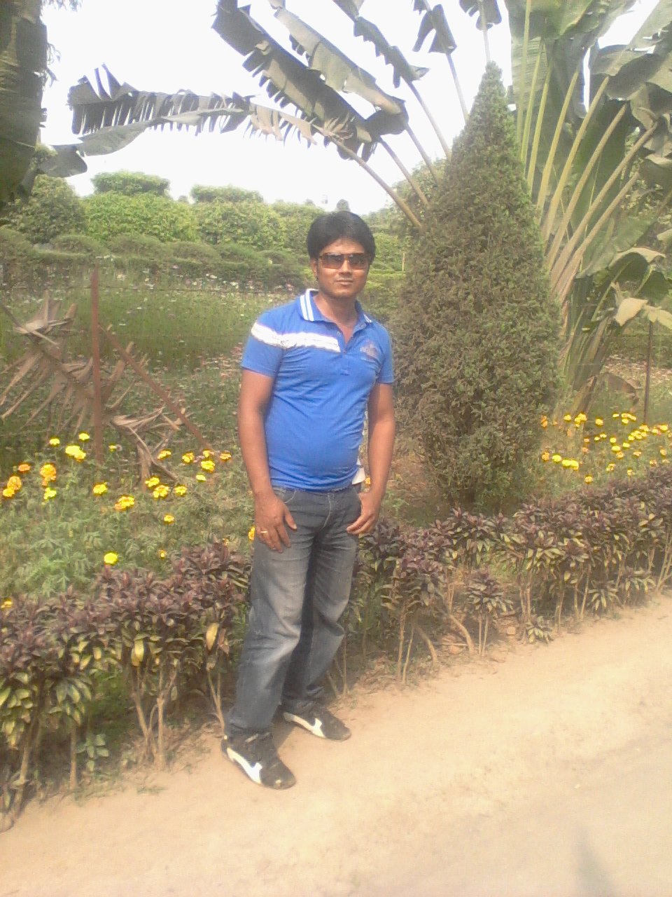 Salem reja - raja