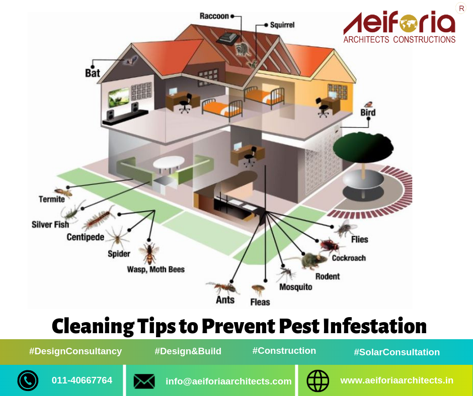 Step inside each room to uncover the pests that could be hiding in