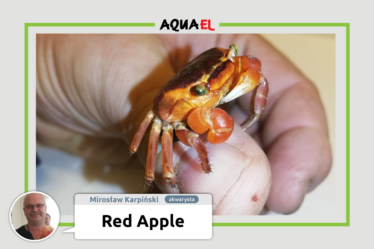 AQUAEL - Zapraszamy na dzisiejszą odsłonę cyklu #ZostańEkspertemAQUAEL ...