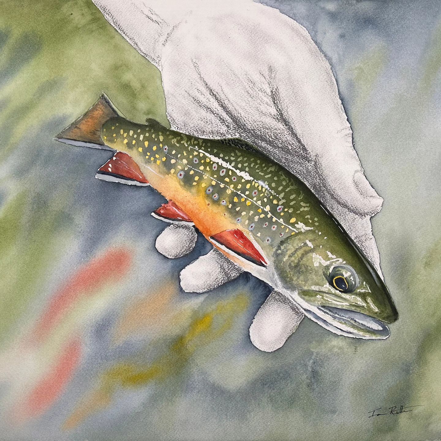 Maynard Reece TROUT ジグソーパズル 額装品 Tellico native brook trout painting in east Tennessee