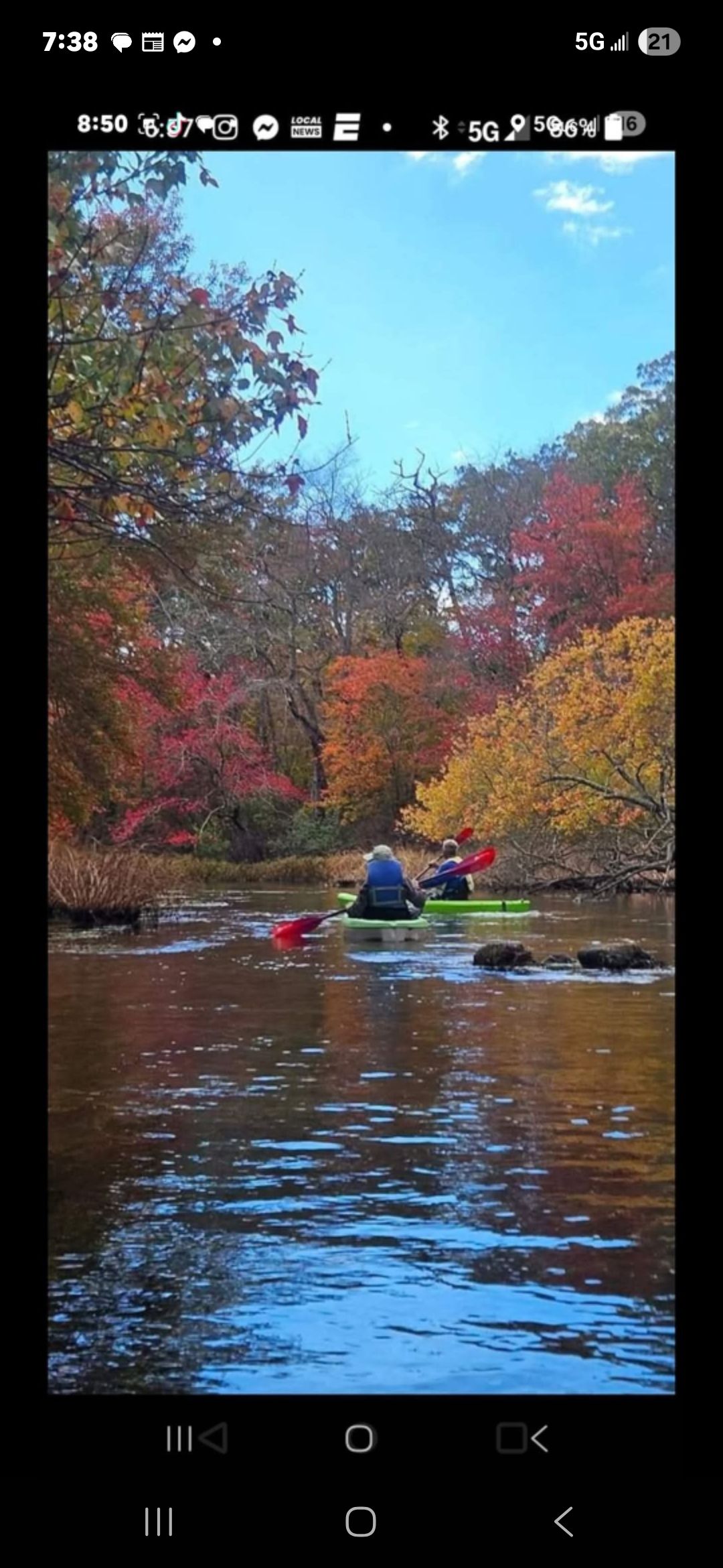 Forge Pond jungle/pizza paddle