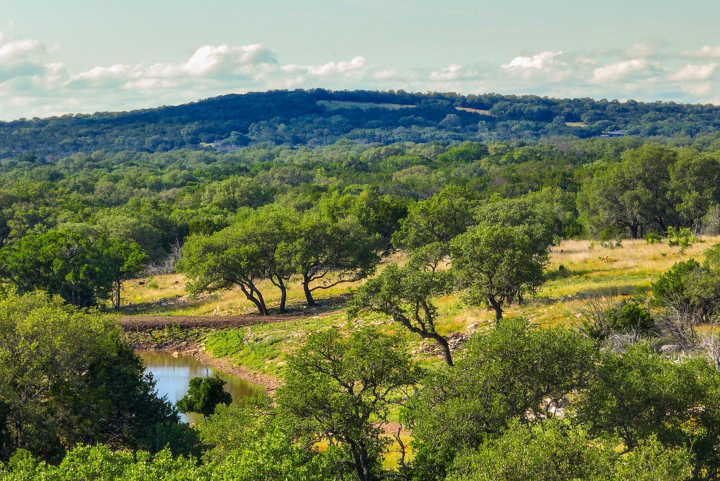 Shipley Ranches | Austin TX