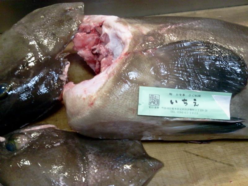 いちえ 鮨 ふぐ料理 足利市 クエは 成長すると体長1メートル 体重キロを超えるという巨大魚です 九州では アラ 関東では モロコ と呼ばれています ちなみに標準和名は クエ Facebook