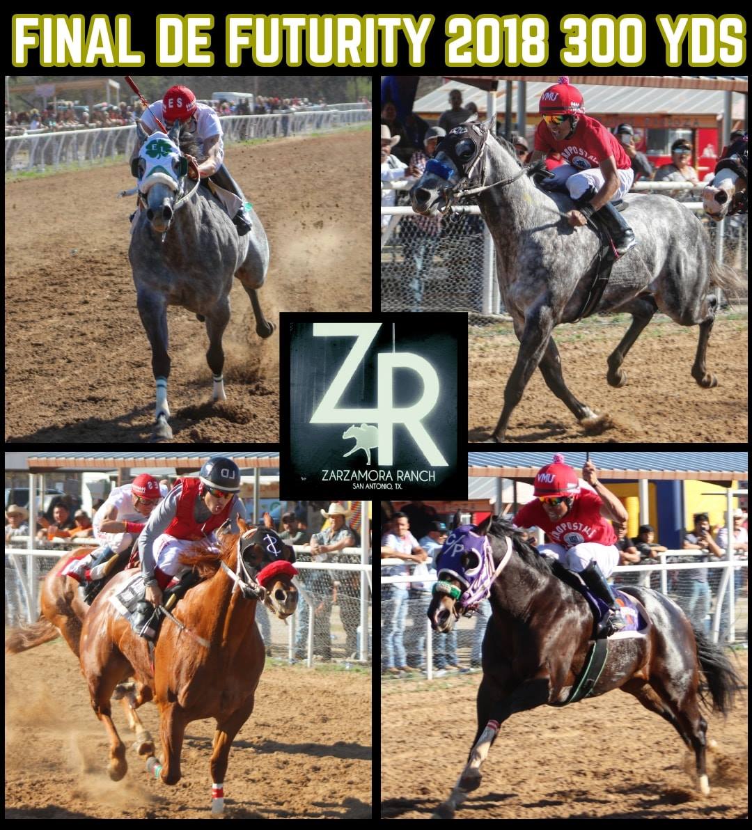 Luna Racing Stables | Seguin TX