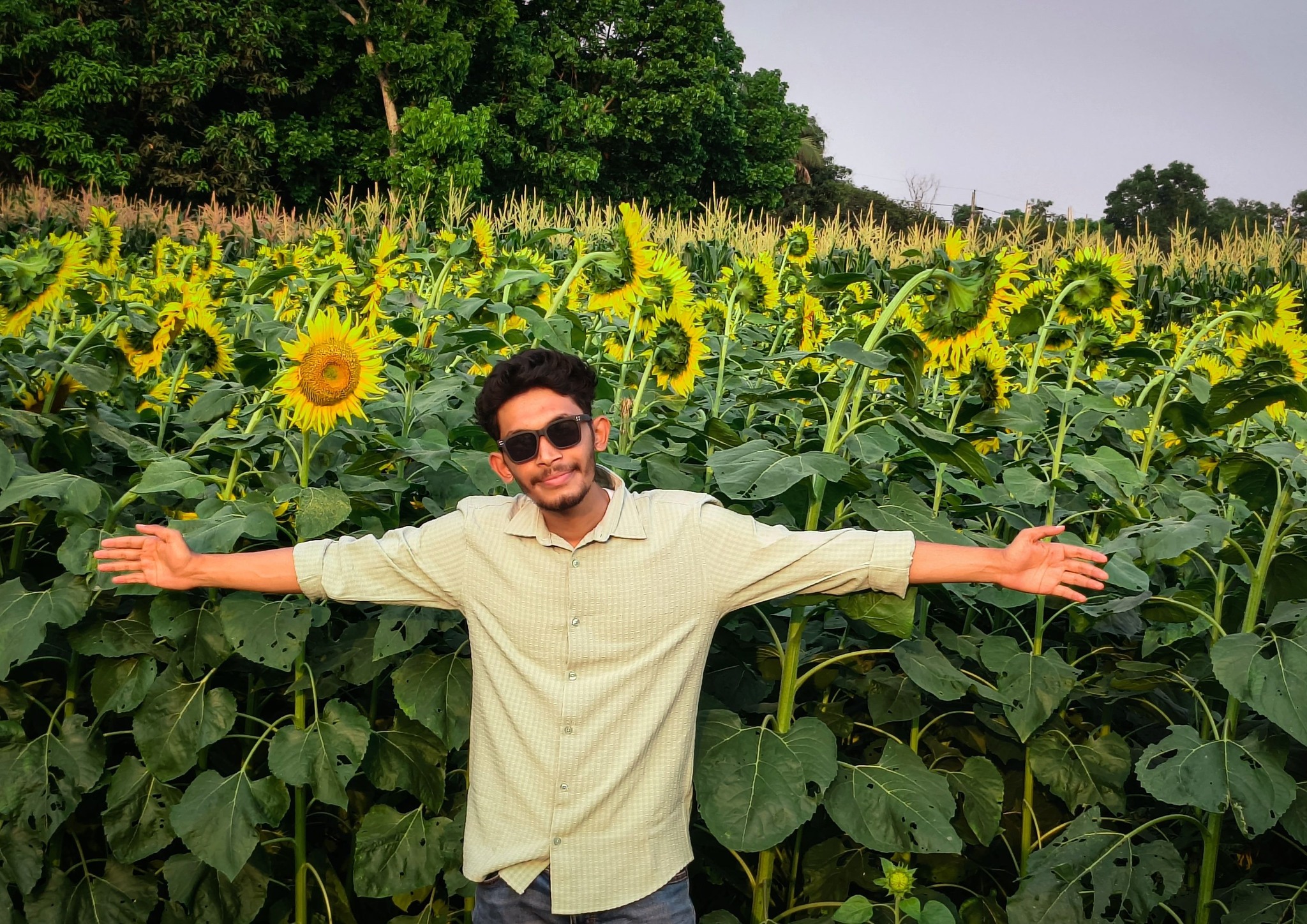 RAsHeD HaSaN
