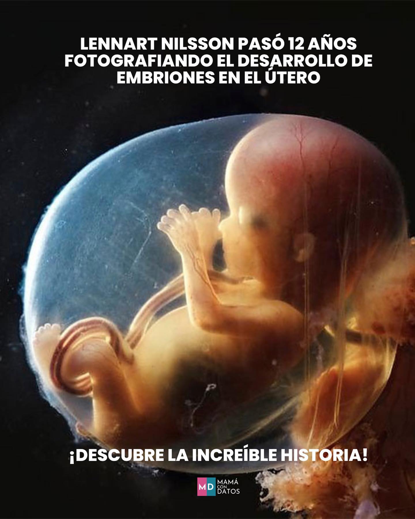 Mamá con datos - 📸 Las fascinantes imágenes del desarrollo...