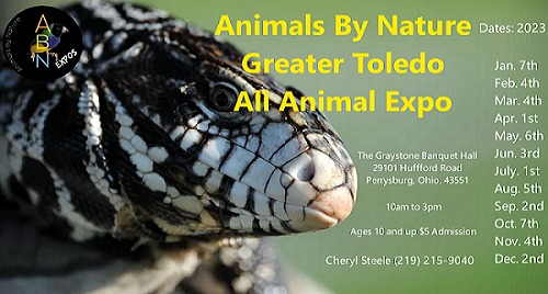 Rat Tales Toledo and Exotics